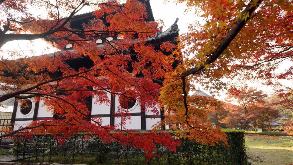 晩秋の京都