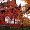 晩秋の京都