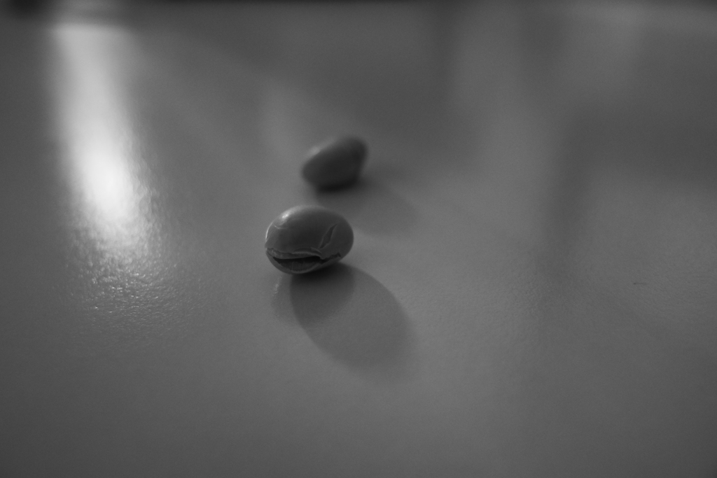 節分