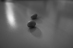 節分