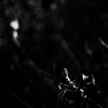 裏山#4