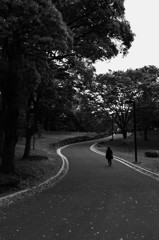 代々木公園