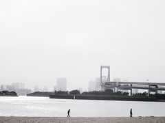 お台場慕情