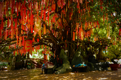 anothersky@ベトナム・スイティエン