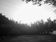 散歩道＃１