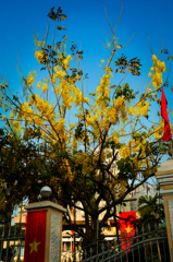 anothersky@ベトナム・ホーチミン