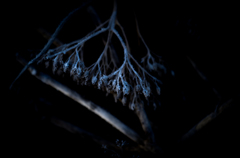 凍てつく朝に＃1