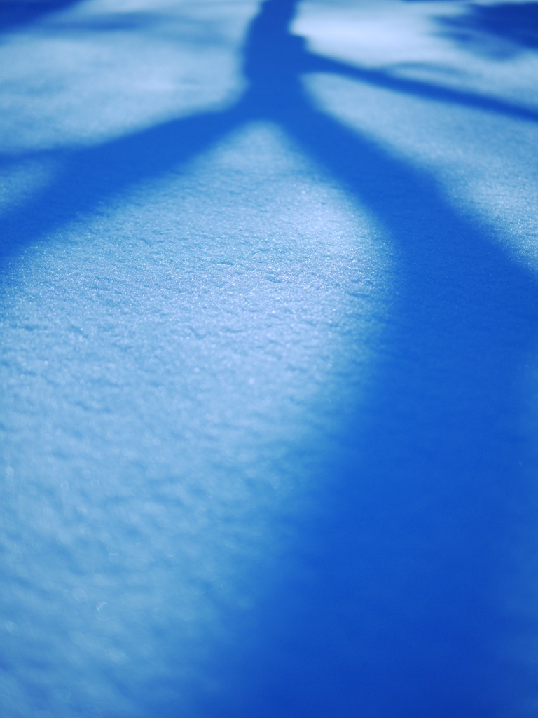 雪影