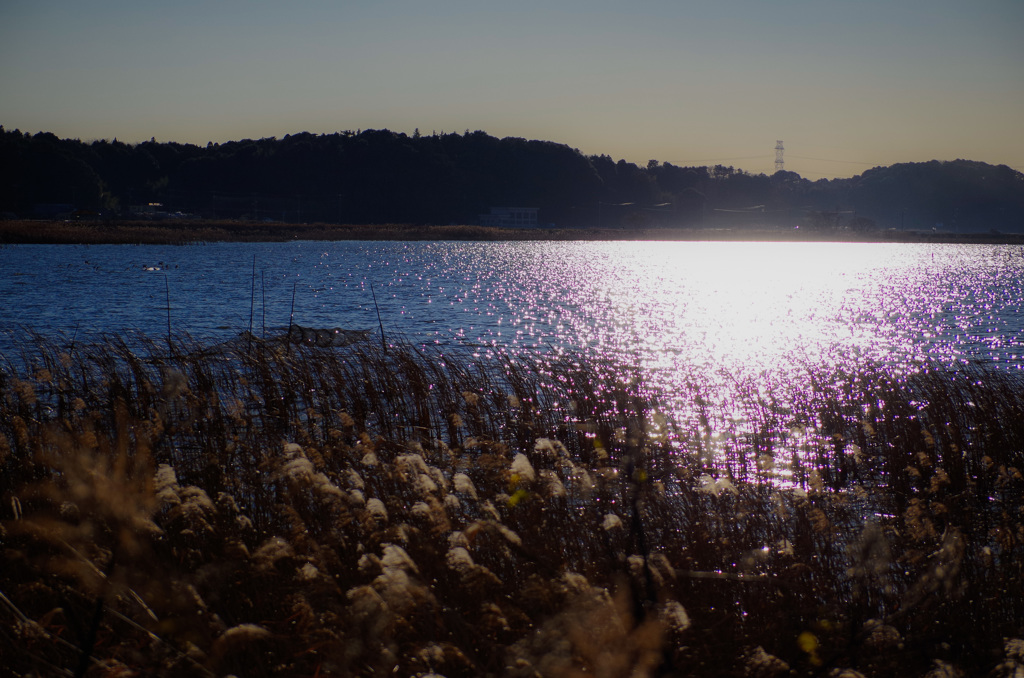 写光