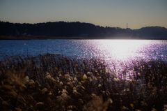 写光