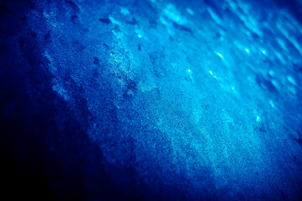 the silent world #1