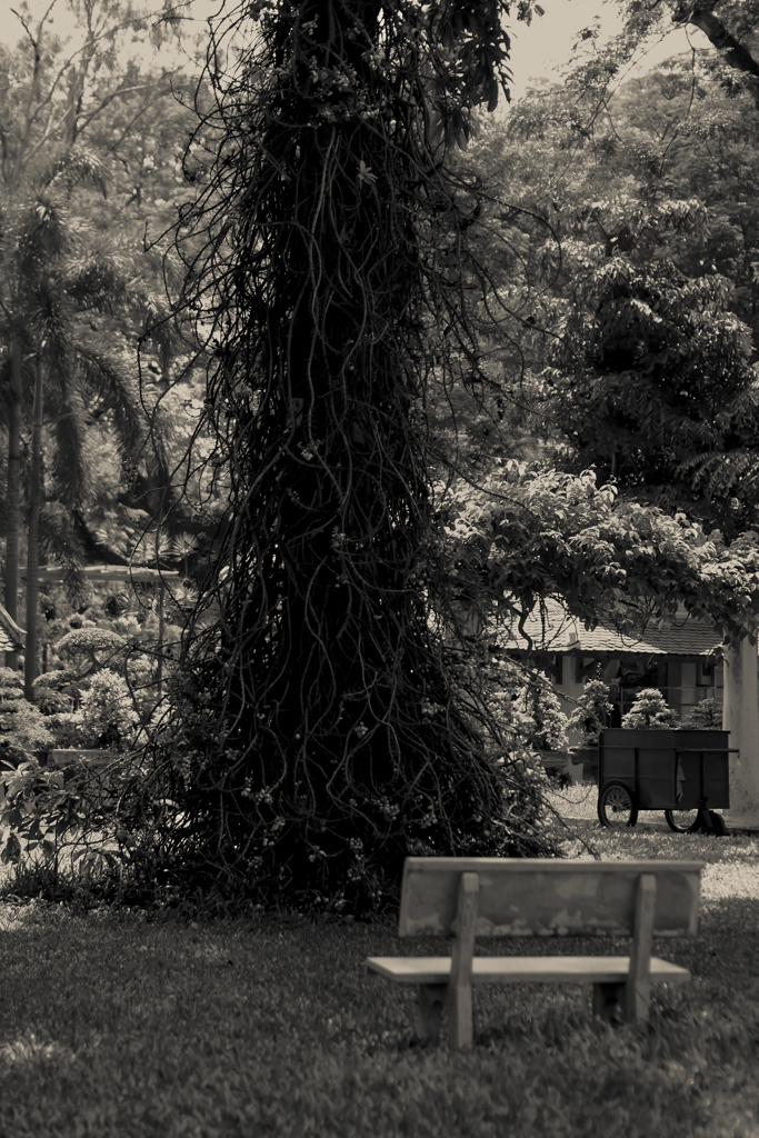 anothersky@ベトナム・ホーチミン