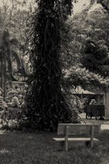 anothersky@ベトナム・ホーチミン