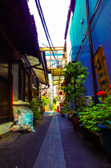 月島 1