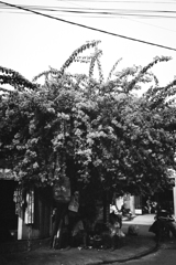 anothersky@ベトナム・ホーチミン