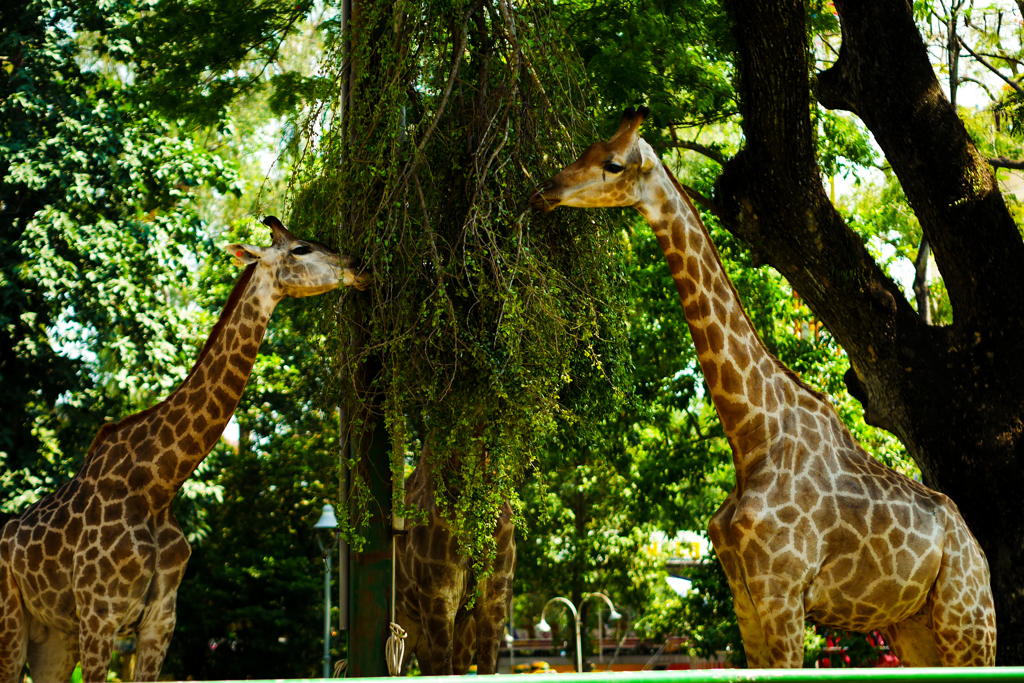 anothersky@ベトナム・ホーチミン