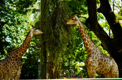 anothersky@ベトナム・ホーチミン