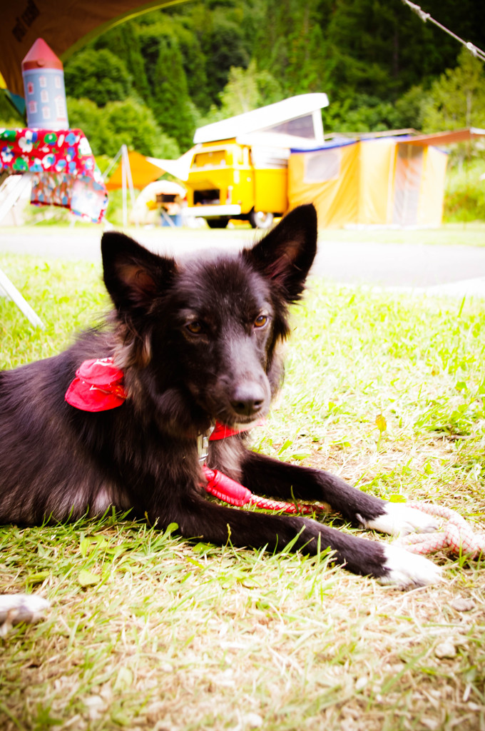 キャンプ大好き＃2