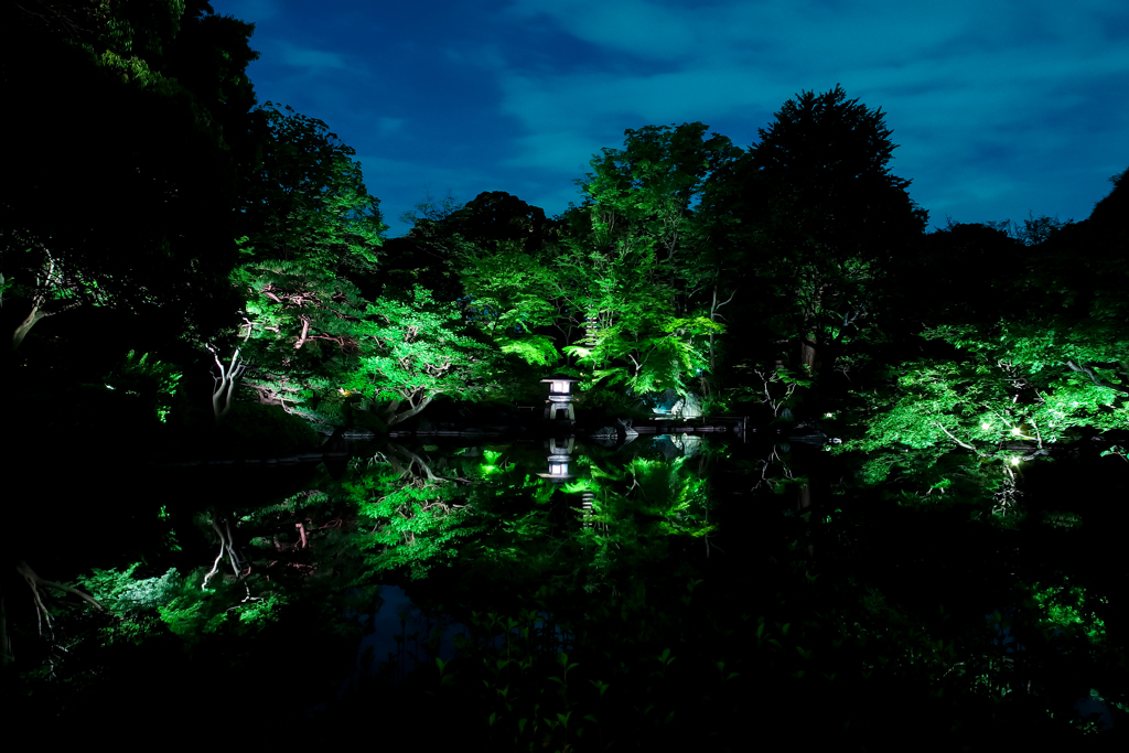 旧古河庭園２