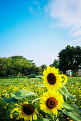 夏と秋の境界線