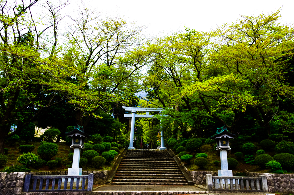 彌彦神社１