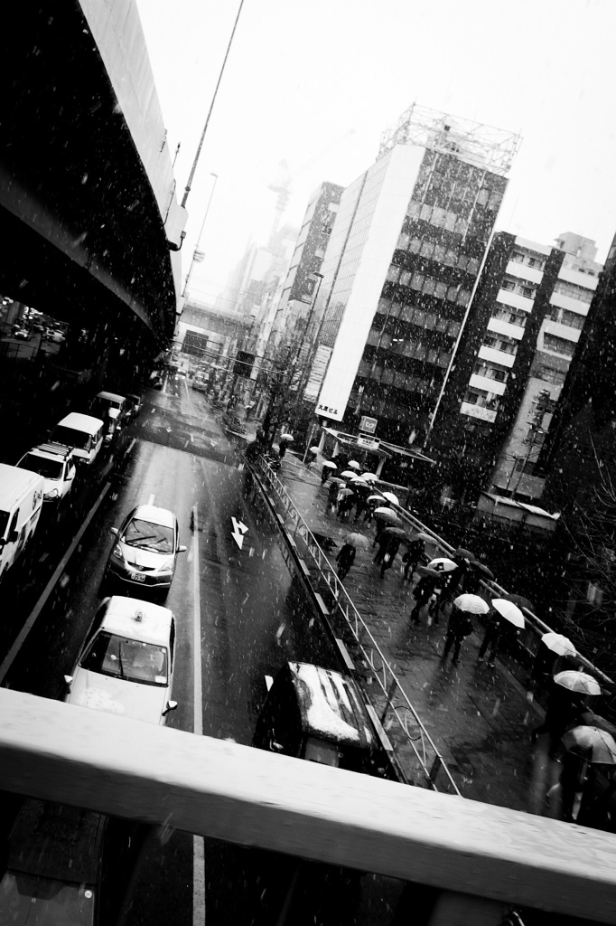 雪の朝に