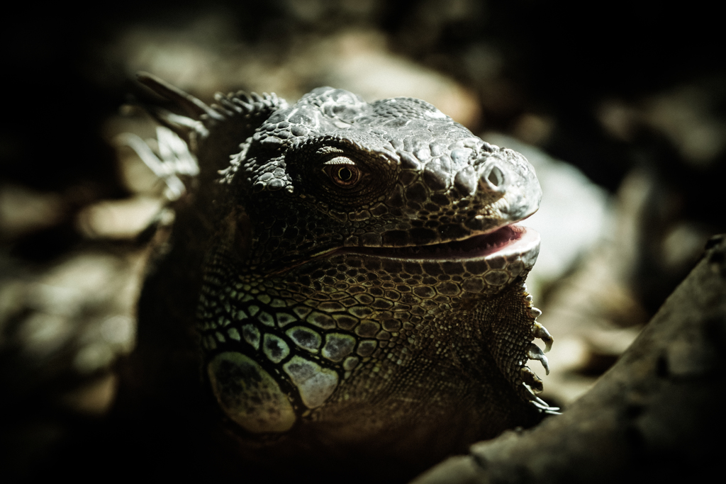 anothersky@ベトナム・ホーチミン