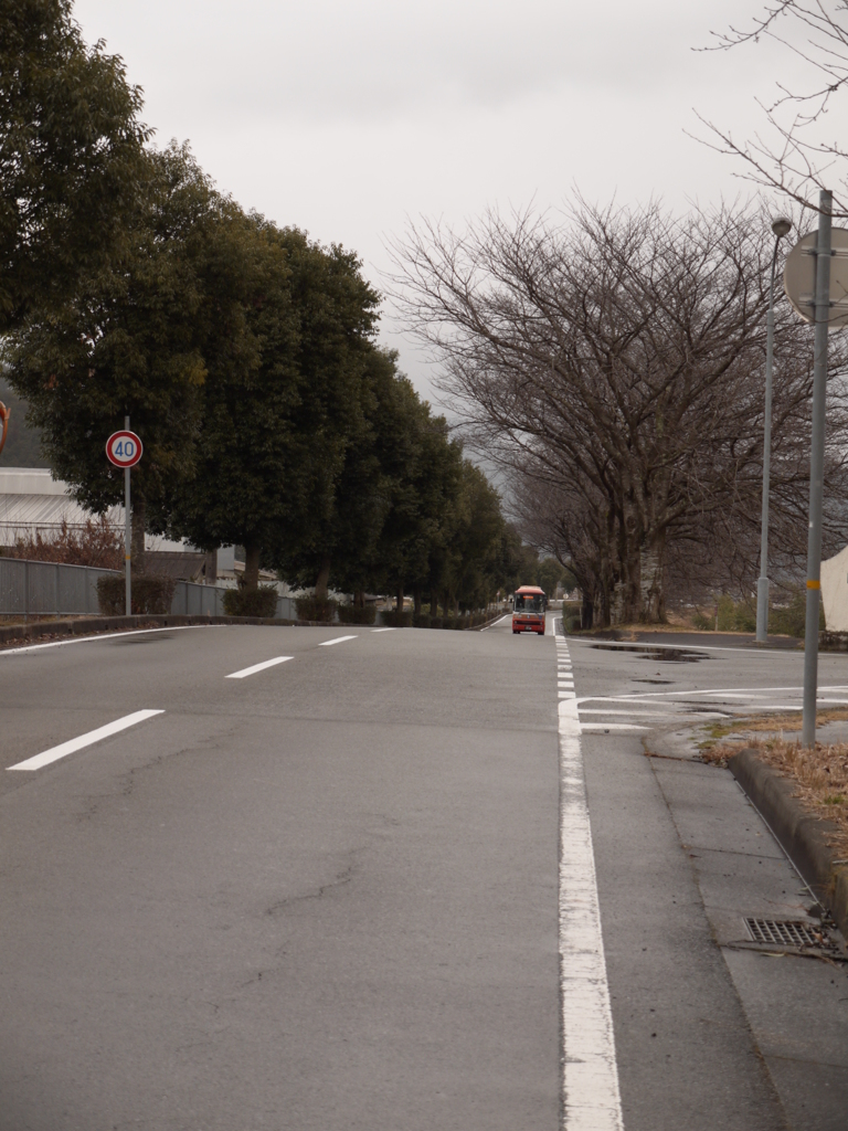 バス来たよ