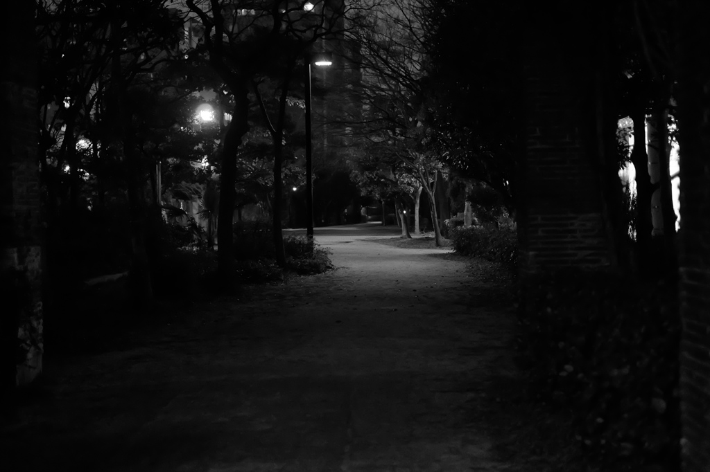 夜の道