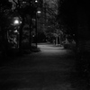 夜の道