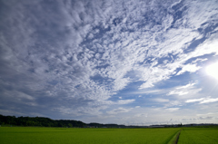 雲を追いかけた日　其の四