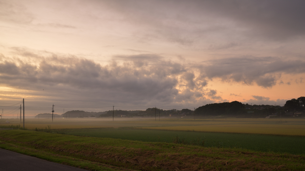 朝霧