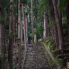 巨木の路　熊野風土記