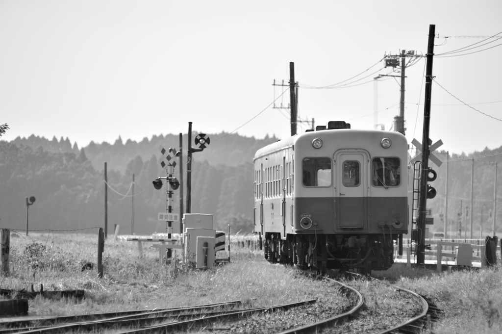 「鉄道員（ぽっぽや）」に魅せられて