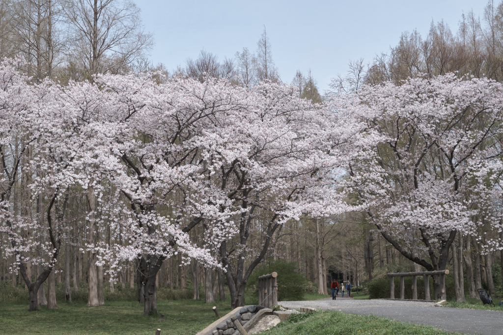 公園の入り口