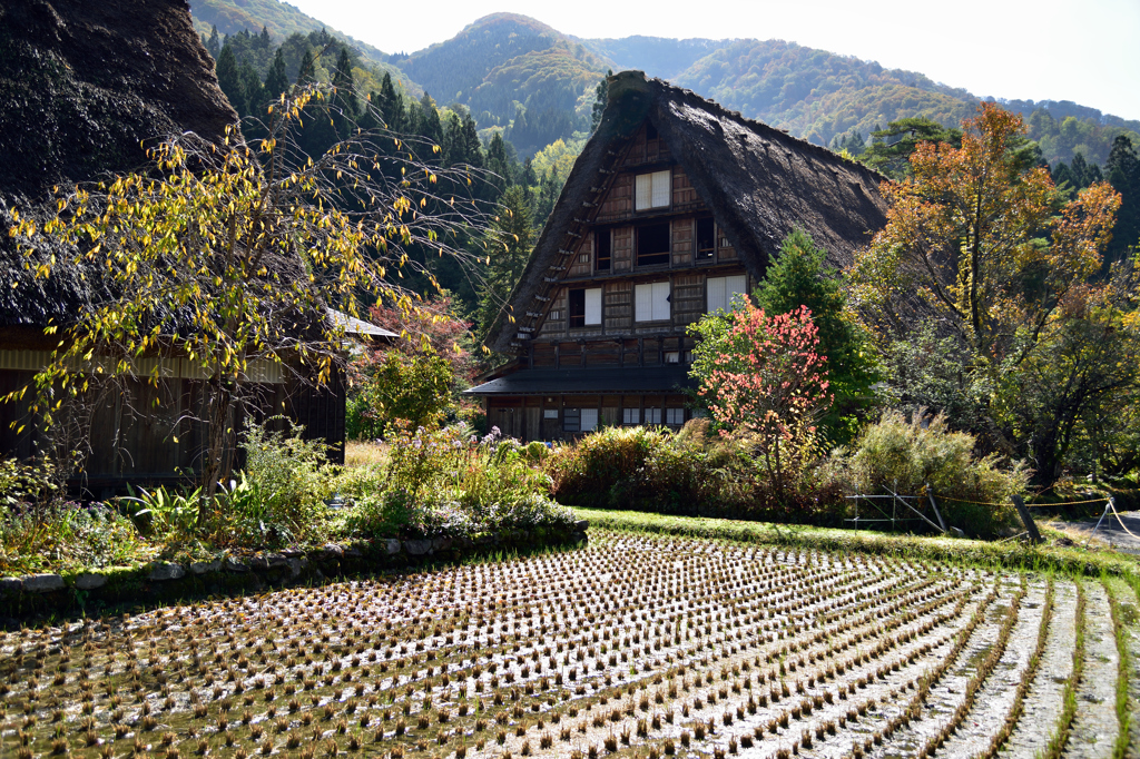 山郷の秋景