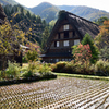 山郷の秋景