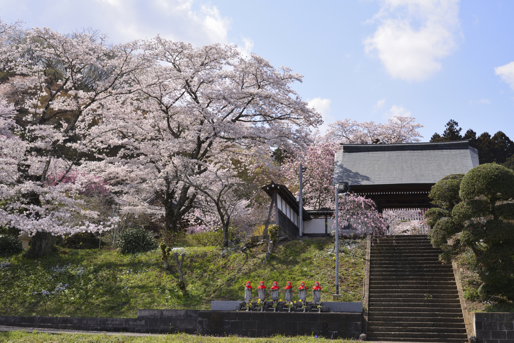 花寺