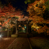 紅葉