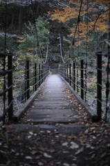 秋の置き忘れ　吊り橋