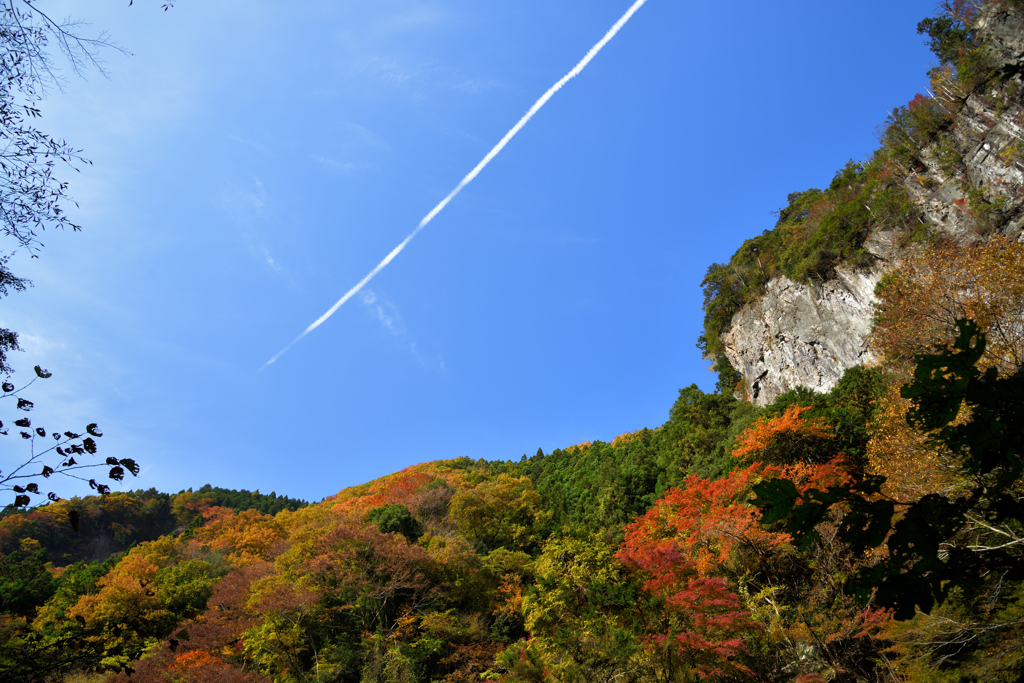 秋空を貫く