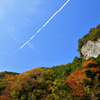 秋空を貫く
