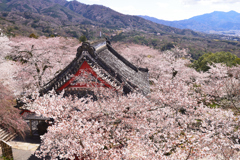 花雲海