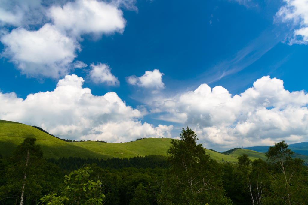 夏雲