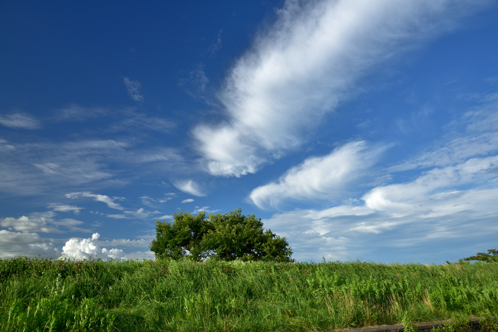 雲を追いかけた日　其の弐