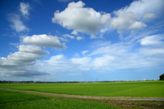 雲を追いかけた日　其の参