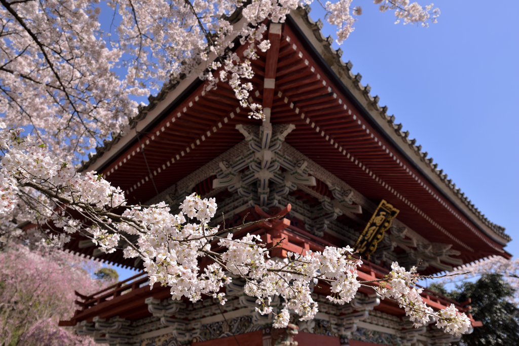 花の山門