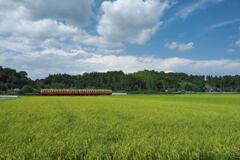 田園　2025