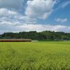 田園　2025
