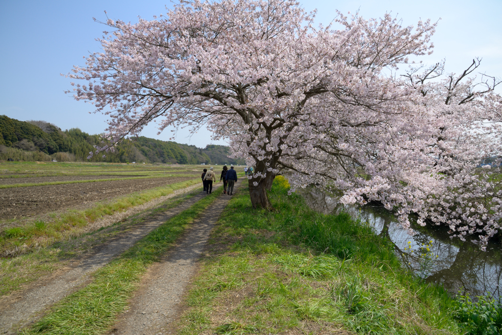 春風の通り道